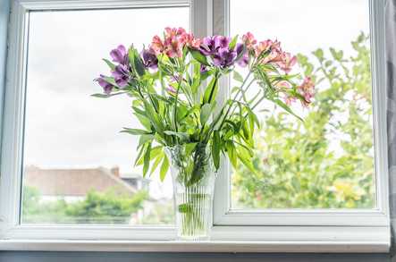 Woodland Court Residential Home Care Home Fareham  - 5