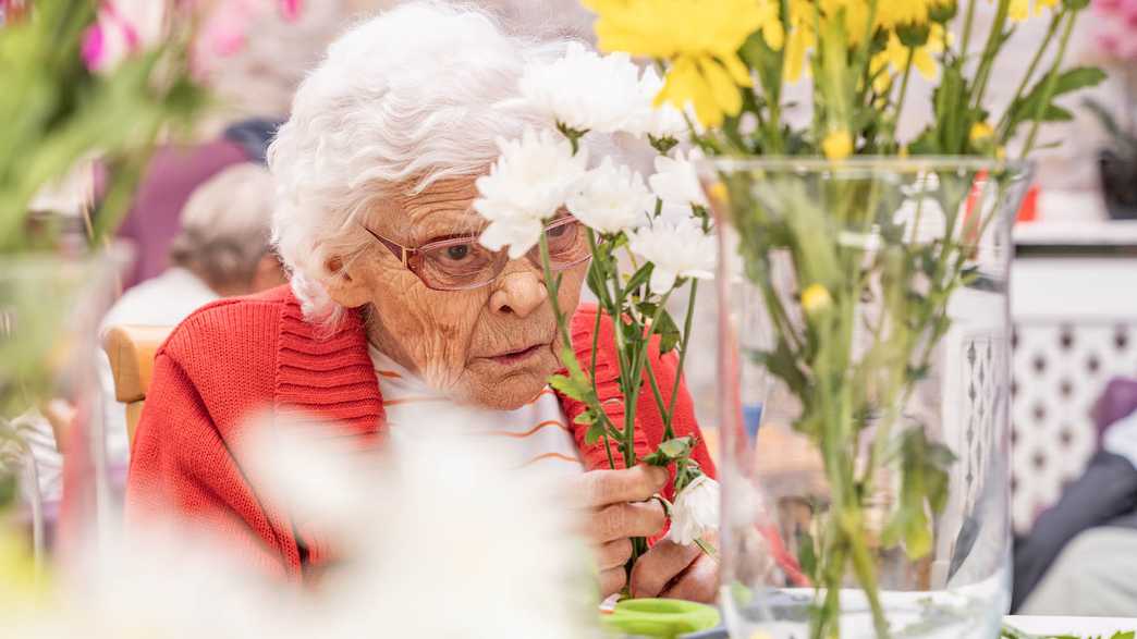 Woodland Court Residential Home Care Home Fareham activities-carousel - 4