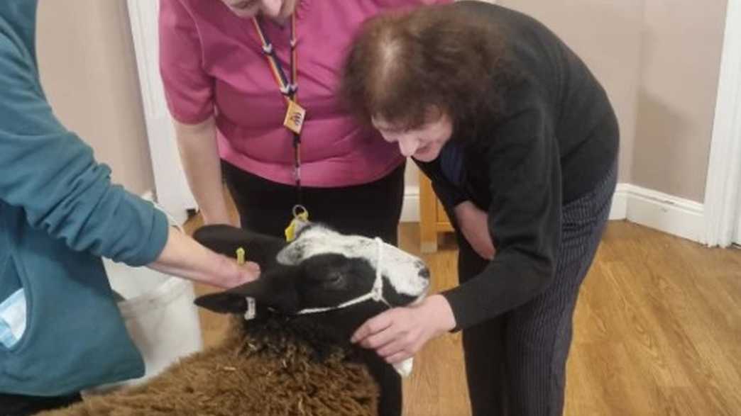 Woodview Care Home Care Home Newcastle activities-carousel - 1