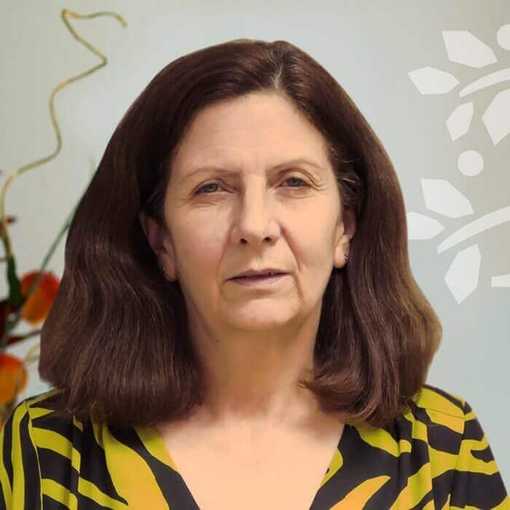 The Hollies Nursing Home - Care Home