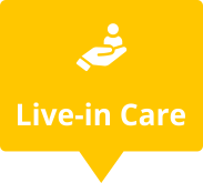 LiveIn Care